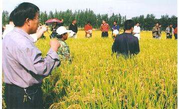 寧夏某農場施用拌肥王施肥現場會議